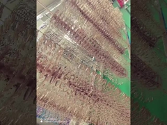 티타늄 합금 안경 프레임 PVD 코팅 기계