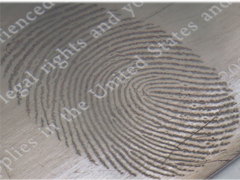 고 진공 금속화 시스템, 지문 표지 영상 촬영을 위한 열 증발 코팅 장치